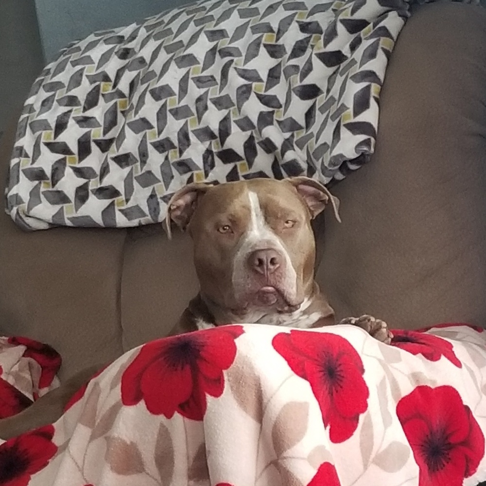 Meet your Posher, April